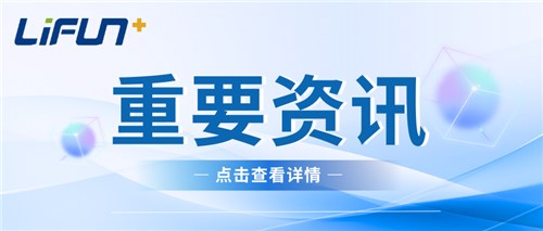 喜讯！vip888新能源获评2024年湖南省原材料工业“三品”标杆企业